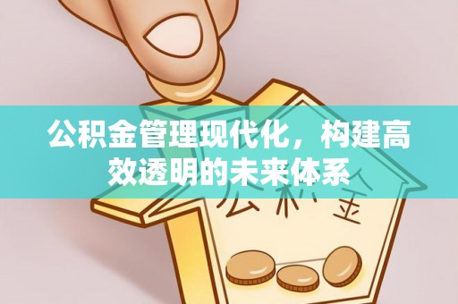 霍山公积金管理现代化，构建高效透明的未来体系