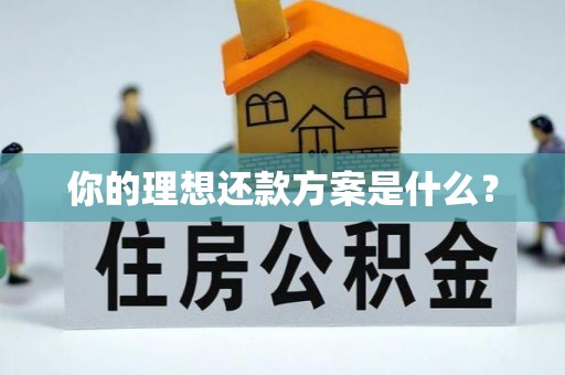 霍山你的理想还款方案是什么？