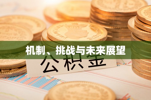 霍山机制、挑战与未来展望