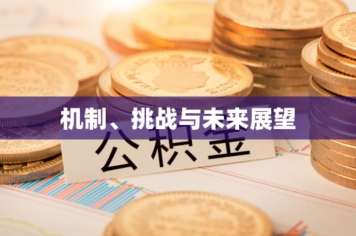 霍山机制、挑战与未来展望